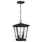 Quoizel Joffrey 2-Light Matte Black Mini Pendant JFY1511MBK - alternate 3